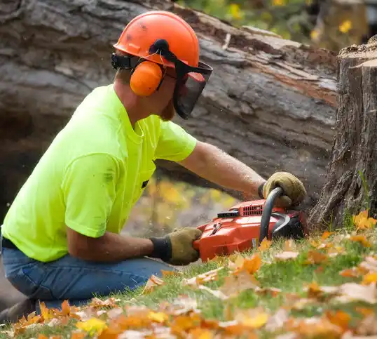 tree services Bensville